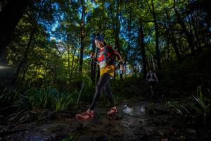 BIB: 
                            <button type="button" onclick="openModal(19240727)" class="btn btn-primary btn-sm float-right btn-popup" data-toggle="modal" data-target=".modal-high-quality">
                        <i class="fas fa-shopping-cart"></i> Add to Cart
                    </button>
                                            <button type="button" onclick="isThisMe(19240727, true)" class="btn btn-success btn-sm float-right btn-popup btn-isme hidden" data-toggle="tooltip" data-placement="bottom" title="นี่คือรูปของคุณใช่ไหม คลิกที่นี่เพื่อเอาเข้าอัลบั้ม">
                        <i class="fas fa-plus"></i> Add to album
                    </button>
                    <button type="button" onclick="isThisMe(19240727, false)" class="btn btn-warning btn-sm float-right btn-popup btn-isnotme hidden">
                        <i class="fas fa-ban"></i> Remove from album
                    </button>